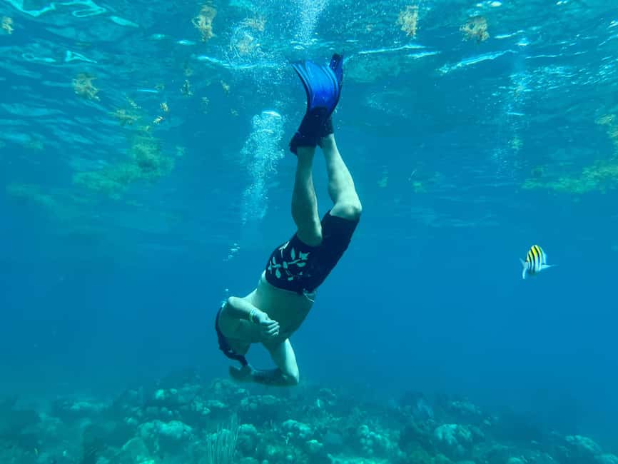 From Punta Cana: Small Group Catalina Island Snorkeling Tour - Price and Value: Is $128 Worth It?