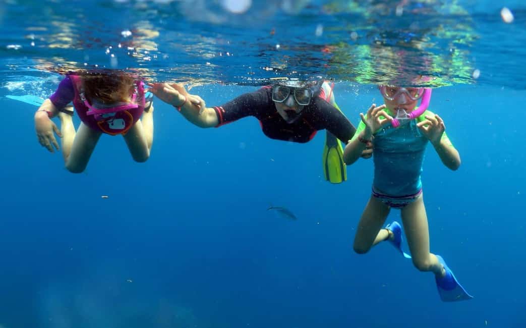 From Punta Cana: Small Group Catalina Island Snorkeling Tour - The Wall Snorkeling Spot: A 30-Foot Drop with Colorful Fish