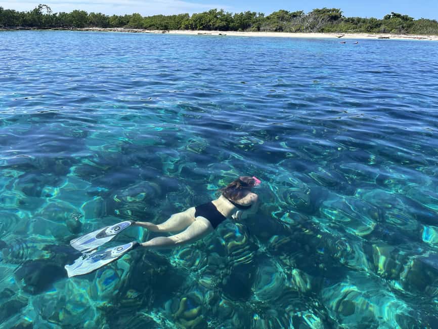 From Punta Cana: Small Group Catalina Island Snorkeling Tour - Chavon River Cruise: Movie-Set Views, Calm Pace