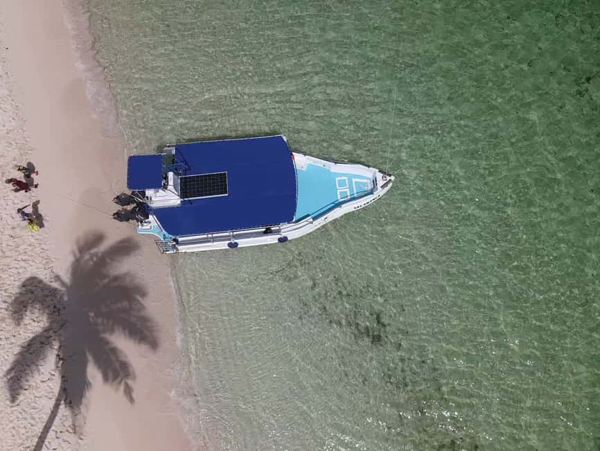 From Punta Cana: Small Group Catalina Island Snorkeling Tour - Ride Back Along the Coast: Mansions, Villas, and a Final Look