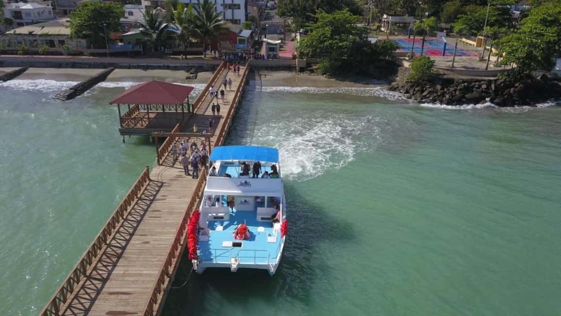 From Punta Cana: Whale Watching and Montana Redonda Tour - Samana Bay whale watching: what “2 to 3.5 hours” feels like