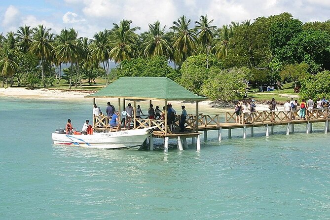 Full Day Bacardi Whale Watching - End Season March 30th - Semi-private beach time: comfort is part of the value