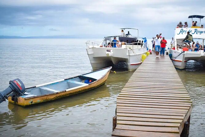 Full Day Bacardi Whale Watching - End Season March 30th - Price and value: what $165 buys you (and what to bring)