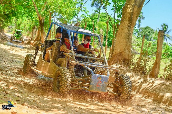 Full-day Buggy & Party Boat tour: snorkel, open bar, cave pool - Key things I’d circle before you book