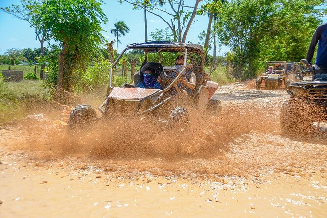 Full-day Buggy & Party Boat tour: snorkel, open bar, cave pool - The Coffee Plantation (Cocoa/Chocolate/Mamajuana-Style) Tastings Stop