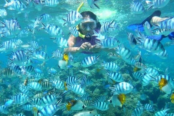 Full day Caribbean Catalina Island with snorkeling - Lunch and drinks on board: barbecue buffet + open bar