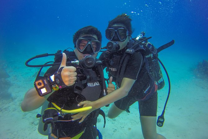 Full-Day Catalina Island Scuba Diving Tour from Punta Cana - A Full-Day Catalina Island Scuba Tour From Punta Cana