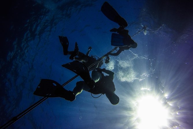 Full-Day Catalina Island Scuba Diving Tour from Punta Cana - Drinks, Photos, and the Small Extras That Add Up