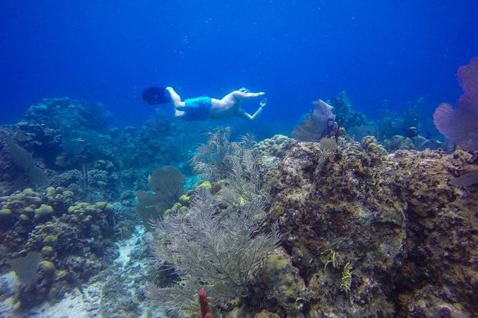Full-Day Catalina Island Snorkeling Tour from Bavaro - Unlimited drinks: good for the mood, not a plan for everything
