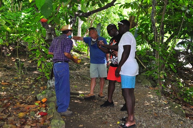 Full Day Eco Safari Adventure and Cultural Tour - Guides Who Make It Feel Easy: Westen, Sam, Robinson, and Lorenzo