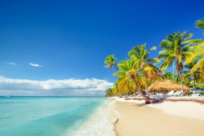 Full Day Excursion in Saona Island - Bayahibe Start and the Speedboat Ride You’ll Feel