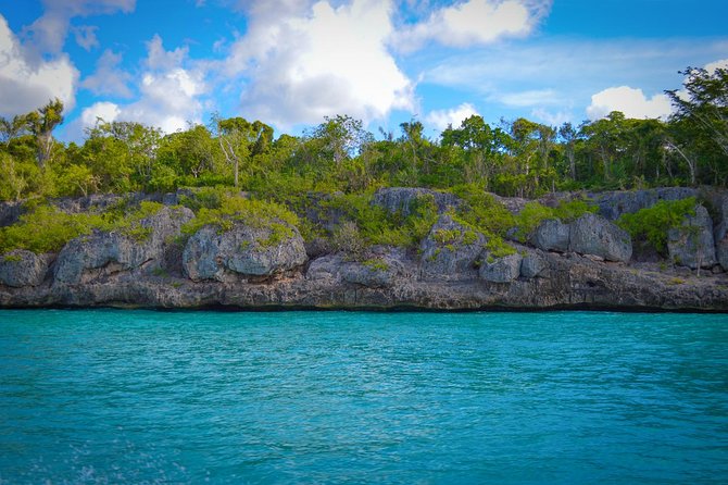 Full Day Excursion in Saona Island - Price and Logistics: Does $85 Feel Fair?