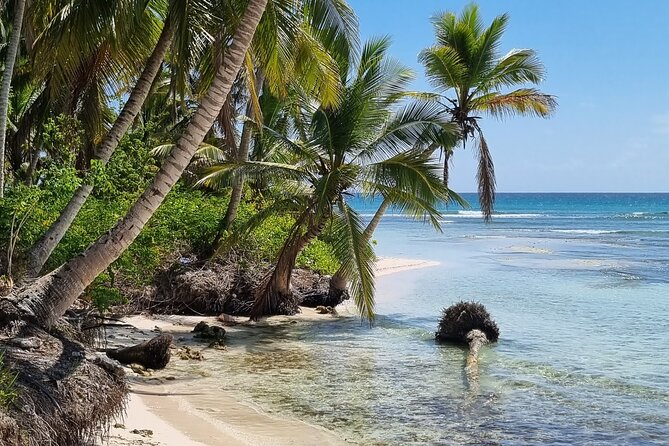 Full Day Island Tour in Isla Saona from Punta Cana - Return trip on the speedboat: fast, fun, and worth watching the group