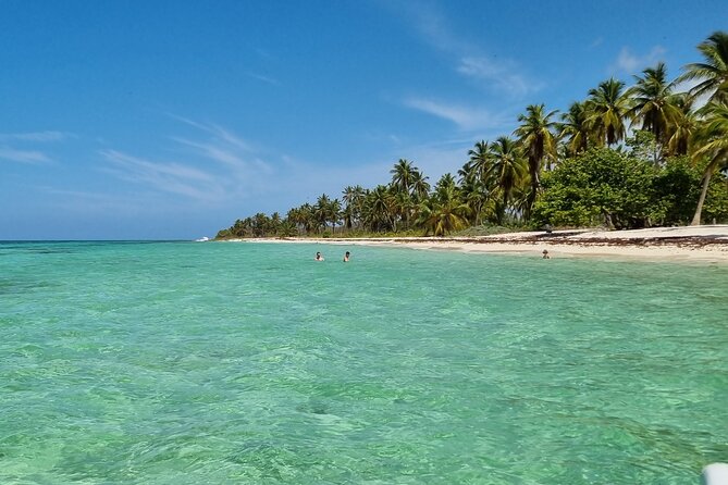 Full Day Island Tour in Isla Saona from Punta Cana - Group size, comfort, and what to pack for this kind of day