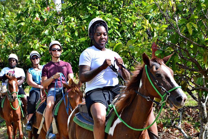 Full-Day La Hacienda Dune Buggy with Zipline & Horseback Activity - Price and Value: How $99 Adds Up Over 8 Hours