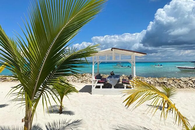 Full Day Private Tour of Bayahibe, Cotubanamá and Saona Island - Should you book? My practical take