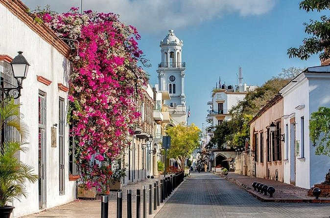 Full-day Santo Domingo Tour with Roundtrip Transfer from Airport to Hotel - Alcázar de Colón: the Viceregal Palace area