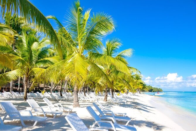Full-Day Saona Island Escape – Beaches, Adventure, Paradise Vibes - Saona Island Escape from Punta Cana: why this trip feels special