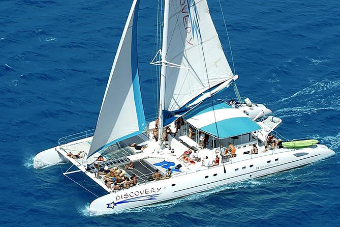 Full-Day Saona Island Escape – Beaches, Adventure, Paradise Vibes - Saona Island beach time, birds and iguanas, and the Dominican buffet + bar