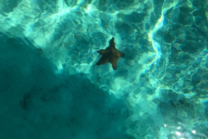Full-Day Saona Island Escape – Beaches, Adventure, Paradise Vibes - Who should book this Saona Island Escape (and who should skip it)