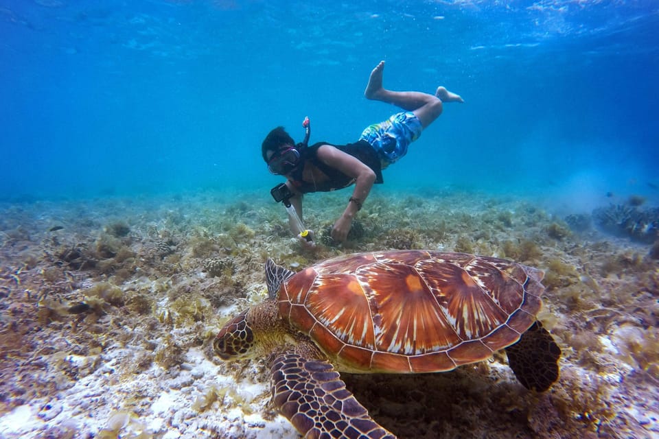 Full-Day Snorkeling Tour to Catalina Island - Open bar and live music: fun factor, plus a practical expectation
