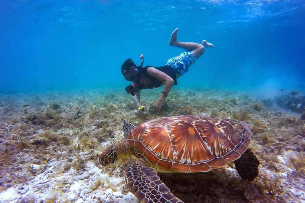 Full-Day Snorkeling Tour to Catalina Island - What to pack for this Catalina day (and what to skip)