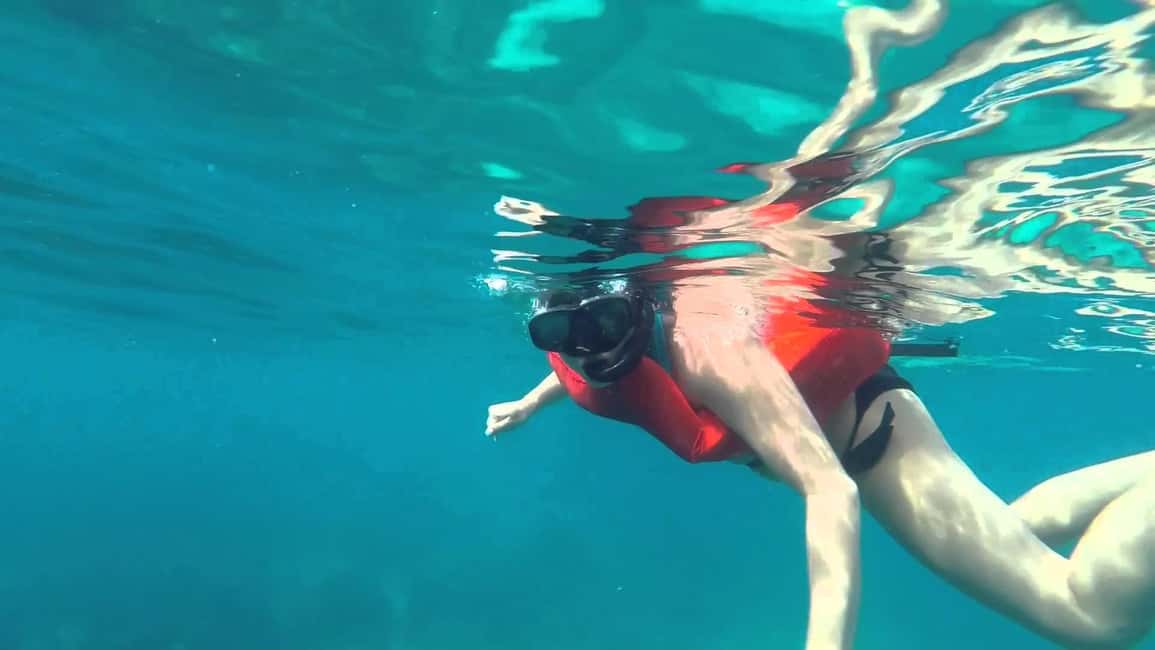 Full-Day Snorkeling Tour to Catalina Island - Who this tour is best for (and who may want a different plan)