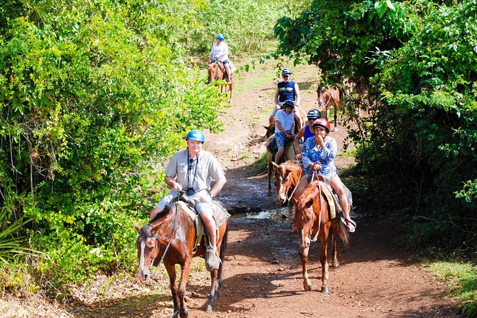Full Day Supreme Safari Punta Cana - Off-Resort Safari, With Real Stops and One Clear Trade-Off