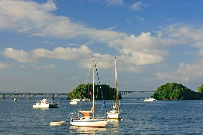 Full day tour to samana bay from punta cana - Key highlights at a glance