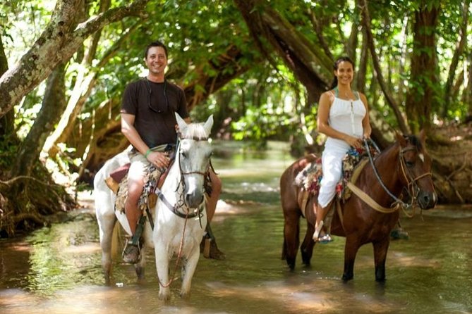 Full day tour to samana bay from punta cana - Price and logistics: does $145 feel fair?
