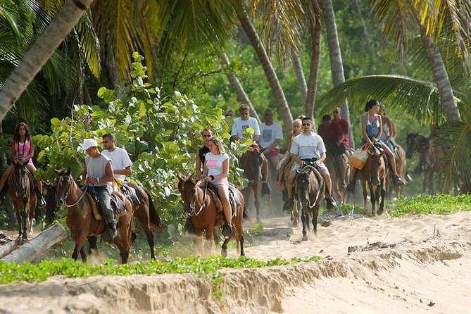 Full day tour to samana bay from punta cana - What you’ll likely love most about this route