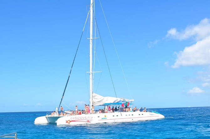 Full Day Tour to Saona Island by Catamaran and Speedboat - The Group Tour Feel: Meet People Without Forcing It
