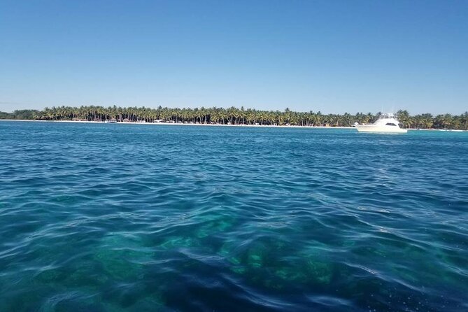 Full Day Tour to Saona Island by Catamaran and Speedboat - Who This Tour Fits Best (and Who Might Want Another Option)