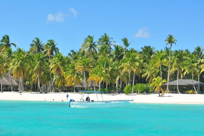 Full Day Tour to Saona Island by Catamaran and Speedboat - Quick Practical Checklist Before You Go