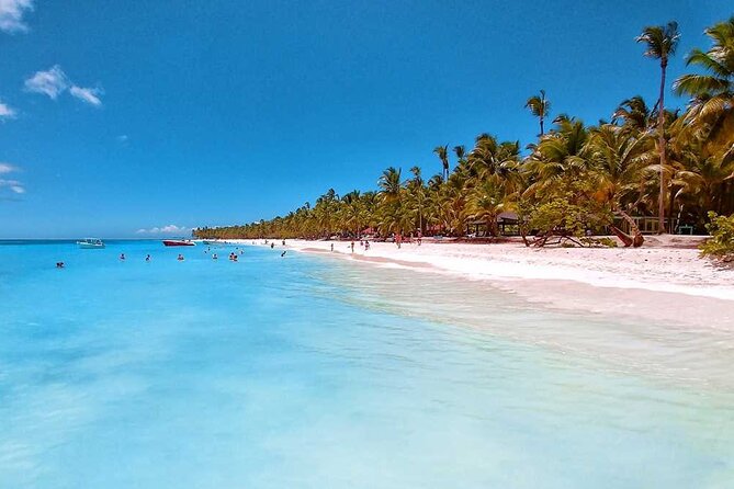 Full Day Tour to Saona Island by Catamaran and Speedboat - Isla Saona: 4 Hours of Beach Time, Open Bar, and Lunch