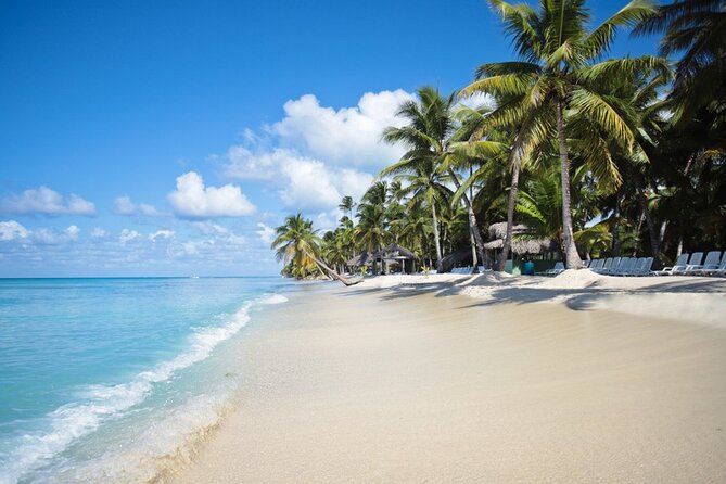 Full-Day Tour to Saona Island Sailing with Lunch and Beverages - Key Things to Know Before You Go
