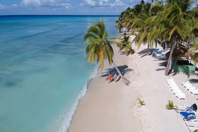 Full-Day Tour to Saona Island Sailing with Lunch and Beverages - Lunch and Open Bar on the Catamaran: Included Food, With One Big Note About Alcohol