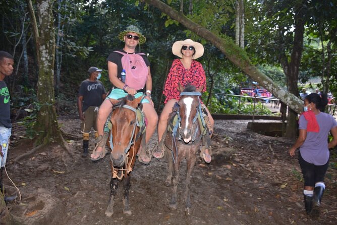 Full-Day Trip to Limon Waterfall and Bacardi Island - Booking advice: how to make the most of a long day