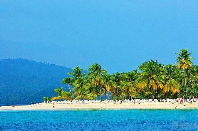 Full-day Whale watching Tour in Samana Bay from Punta Cana - Food, drinks, and what to bring so the day stays fun