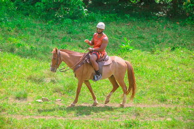Full Pack Buggies + Horses + Zip Line + Food in Punta Cana - Pickup, Mobile Ticket, and Getting There Without Stress