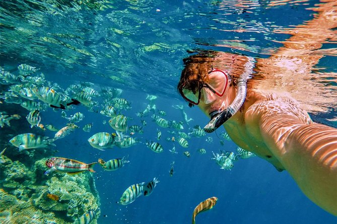 Fun Package Parasailing & Party Boat From Punta Cana - Snorkeling: what you’ll get (and what you might need to watch)