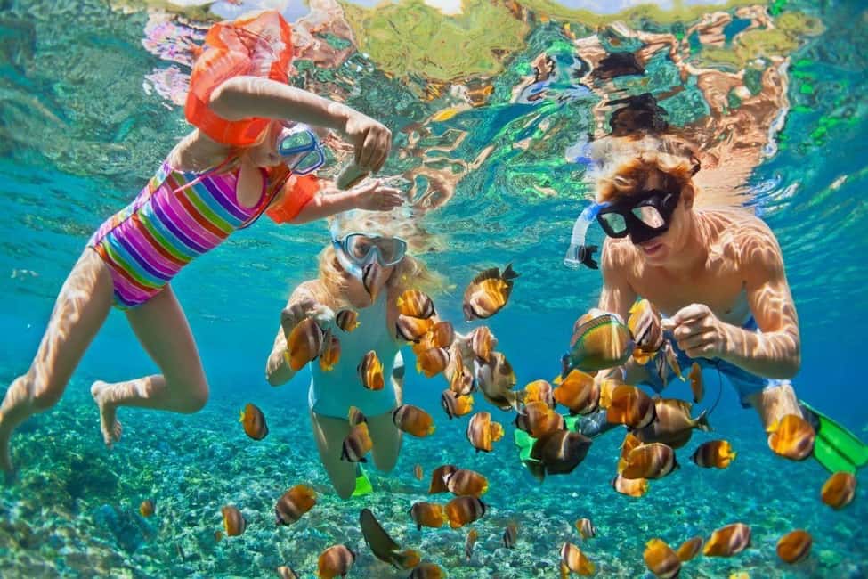 Glass Boat Adventure In Punta Cana - Glass-Bottom Views Along Punta Cana’s Coast (and what you can actually see)