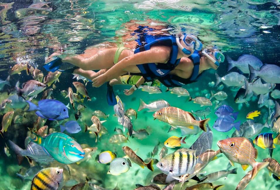 Glass Boat Adventure In Punta Cana - Hotel Pickup, 3-Hour Timing, and how the day stays low-stress