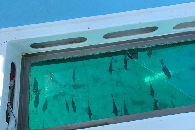 GlassBottom Catamaran with Slide - Transportation and Timing: Pickup Matters in Punta Cana