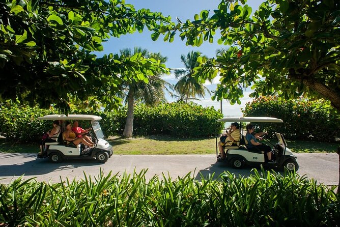 Golf Cart Eco Tour Half Day Tour - Key highlights you’ll care about