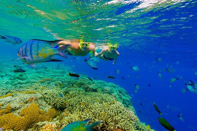 Great Snorkeling Cruise with Sharks & Stingray Encounter and Natural Pool - The double-decker catamaran vibe: music, drinks, and downtime