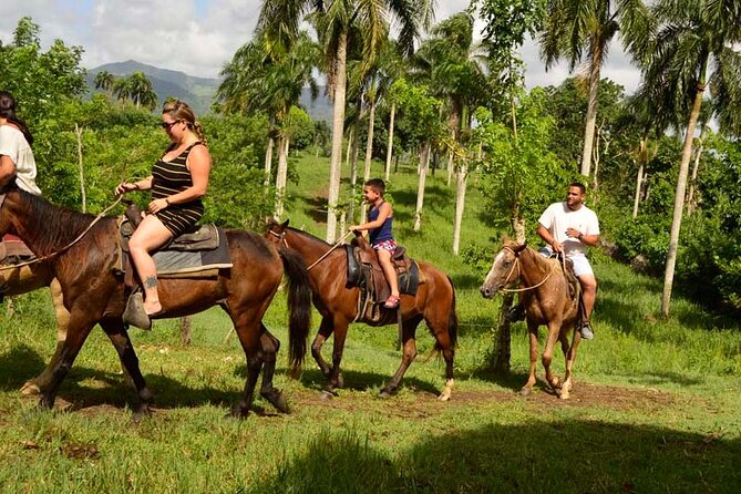 Guided Horseback Ride On The Beach With Pickup From Punta Cana - Key Highlights You’ll Care About
