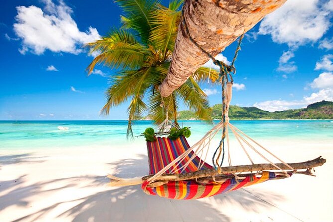 Guided Saona Island Tour in Punta Cana - Key things to know before you go