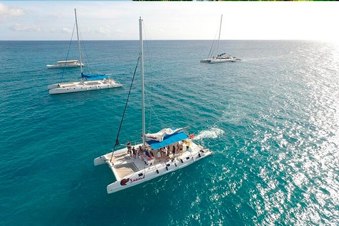 Guided Saona Island Tour in Punta Cana - Isla Saona Premium: the value behind the price tag