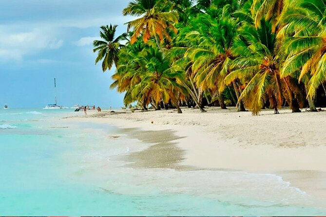 Guided Saona Island Tour in Punta Cana - Saona Island arrival: what “private” usually means in real life